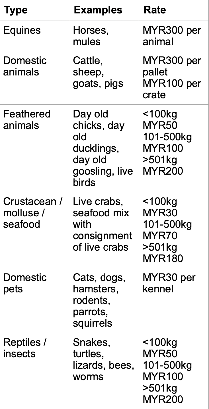 All you need to know about flying with your pet Petfriendly airline